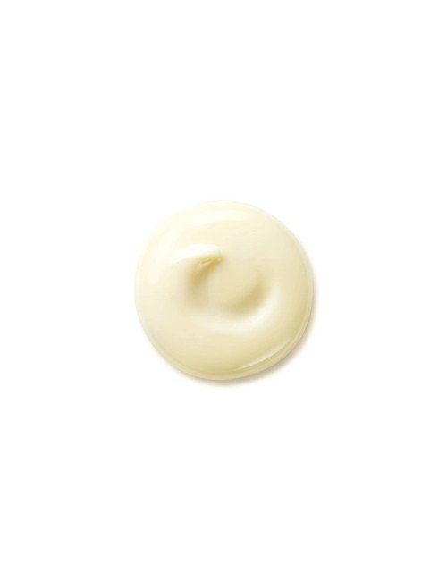 SHISEIDO BENEFIANCE WRINKLE SMOOTHING DAY CREAM SPF 25 50 ML