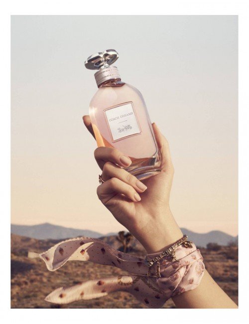 Eau De Parfum Coach Dreams, as últimas ofertas em Coach perfumes