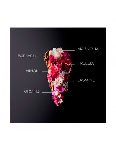 Shiseido Ginza Eau De Parfum, as últimas ofertas em Shiseido perfumes