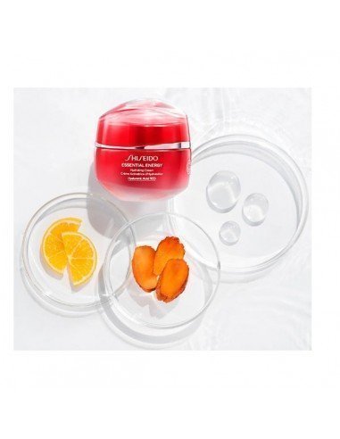 Shiseido Hydrating Day Cream SPF 20 hidratante