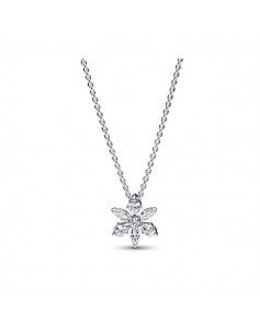 Collar Herbario Brillante oferta en samparfum.es