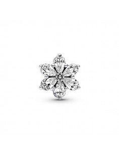 Pandora Charm Herbarium lucido