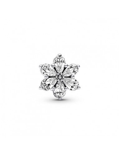 Pandora Charm Herbario Brillante en www.samparfums.es