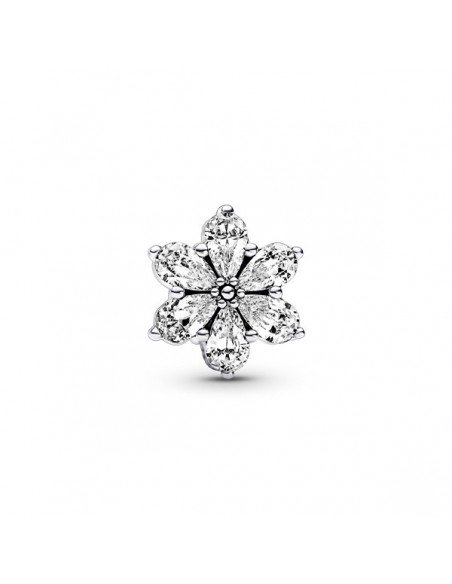 Pandora Charm Herbario Brillante en www.samparfums.es