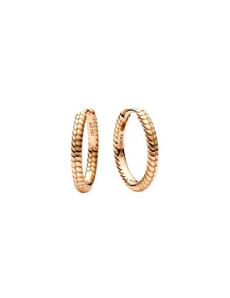 Pandora - Boucles d'oreilles Shine Moments