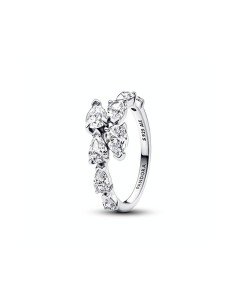 Pandora Ring with shiny band overlay