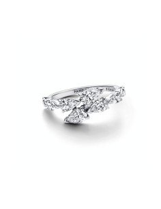 Pandora Ring with shiny band overlay 2