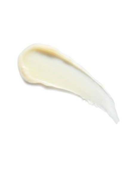 Compra Kiehl's Butter Mask for Lips - Mascarilla Nocturna de Labios | Sam Parfums