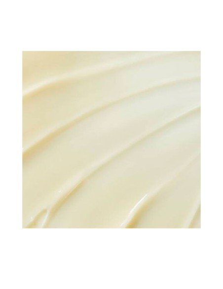 Buy Kiehl's Butter Mask for Lips - Night Lip Mask | Sam Parfums
