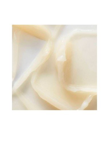 Comprar Kiehl's Calendula Serum-Infused Water Cream - Hidratante e Suavizante | Sam Parfums