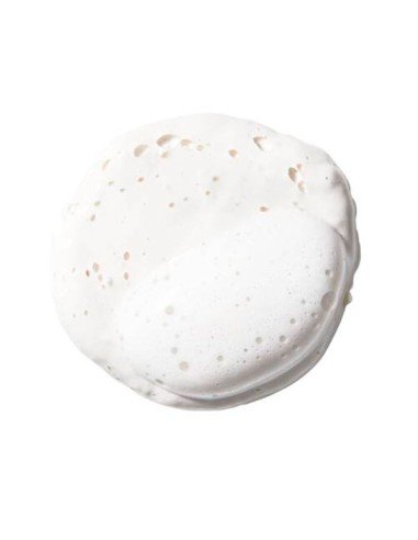 Kiehl's Rare Earth Deep Pore Daily Cleanser - Porenreiniger für das Gesicht | Sam Parfums kaufen