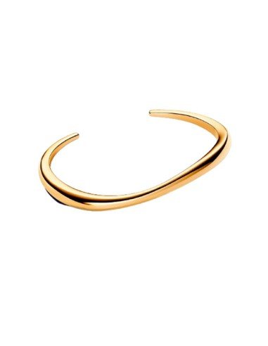 Compra Pandora Shine Pulsera Rígida Abierta - Elegancia en Oro | Sam Parfums