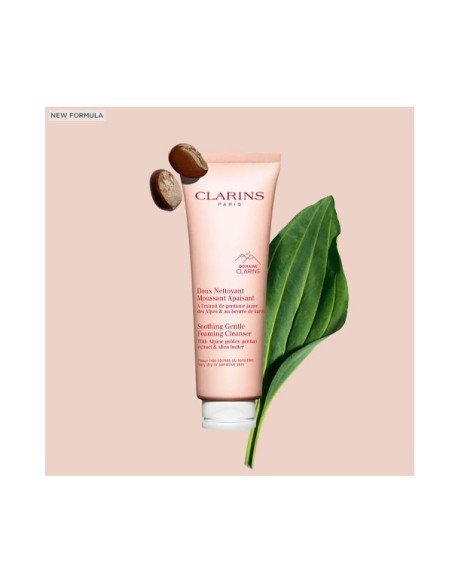 Clarins Foaming Cleanser Facial Cleansing Foam - Deep Cleansing | Sam Parfums