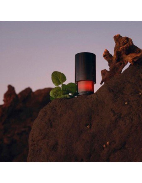 Scopri Trussardi Primo Eau de Parfum: esclusiva fragranza maschile di lusso