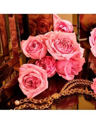 D&G The One Gold Intense: Perfume exclusivo y sofisticado para momentos únicos