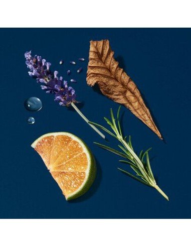 Sumérgete en el aroma intenso y fresco de Acqua di Giò Profondo Eau de Parfum Refill