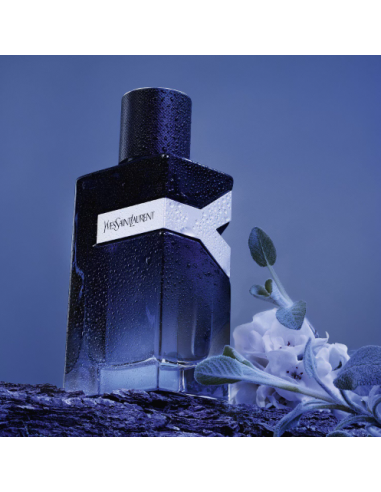 Yves Saint Laurent New Y Men Perfume: fragrância fougère amadeirada, ousada e sedutora