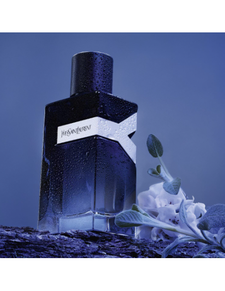 Yves Saint Laurent New Y Men Perfume : parfum fougère boisé, audacieux et séduisant