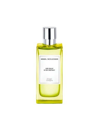 Entdecken Sie die Frische und Raffinesse von Angel Schlesser Ginger Eau de Toilette für Männer