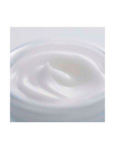 SENSAI CELLULAR PERFORMANCE FRESH CREAM 2