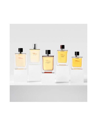Explore a intensidade de Terre d'Hermès com uma recarga sustentável e um aroma cativante.