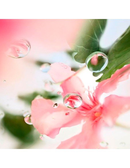 LANCOME Ôver The Top Eau de Toilette Parfüm: blumige Frische und feminine Eleganz