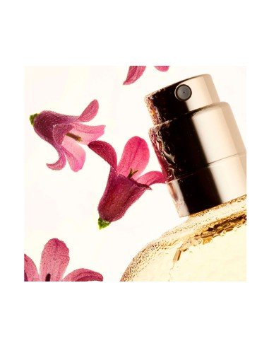 Clarins Fix Make Up Gold fixador de maquilhagem: frescura, brilho e cuidado natural.