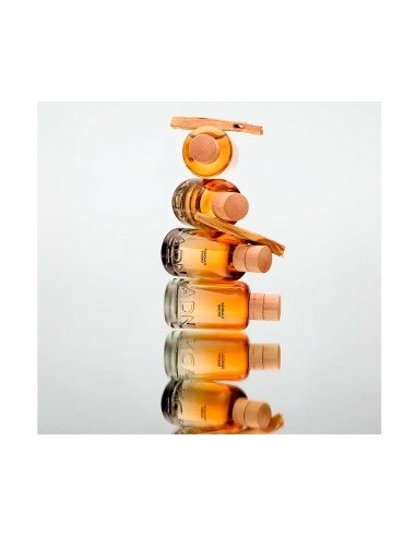 Adolfo Dominguez DNA Sandalwood Eau de Parfum: fragranza unisex legnosa e calmante