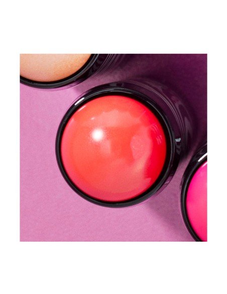 Sisley Phyto Blush Twist, ultime offerte sul Sisley trucco