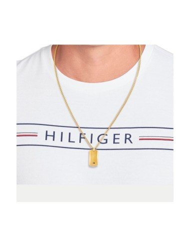 Collier Tommy Hilfiger Jameson : élégance plaquée or en acier inoxydable pour hommes