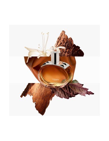 Hermes Barenia Eau de Parfum Intense: Chypre-Eleganz mit Lilie, Eichenmoos und Leder