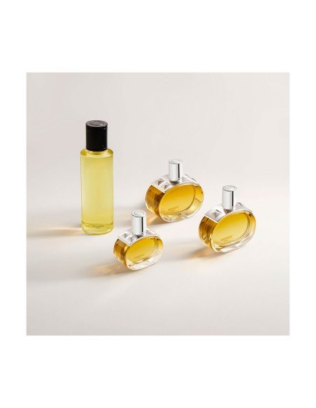 Hermes Barenia Eau de Parfum Intense: elegância chipre com íris, musgo de carvalho e couro