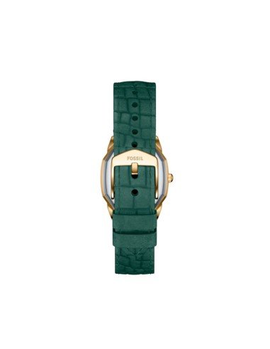 Montre Fossil Harlow en cuir de crocodile vert : élégance et style au quotidien