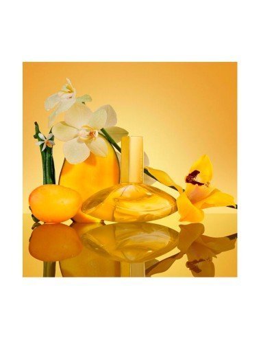 Calvin Klein Euphoria Solar Elixir Parfüm: ambrierte Intensität mit Mango und Vanille