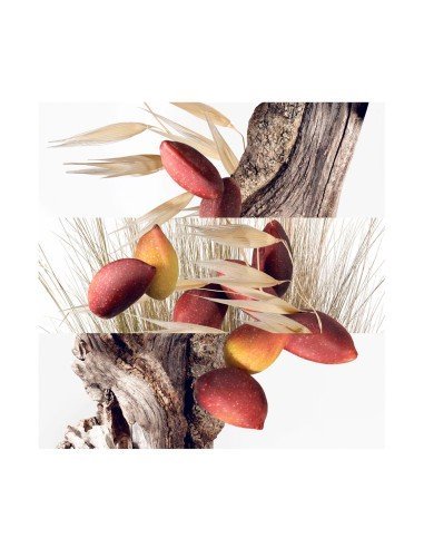 Hermès Un Jardin à Cythère: Frische Zitrusfrüchte und holzige Explosion für verträumte Frauen