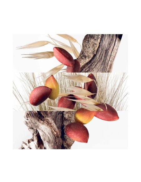 Hermès Un Jardin à Cythère: Frische Zitrusfrüchte und holzige Explosion für verträumte Frauen