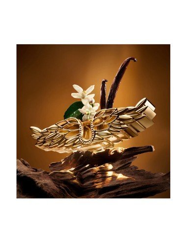 Zadig Eau de Parfum Intense Refill : parfum floral-intal végétalien et durable