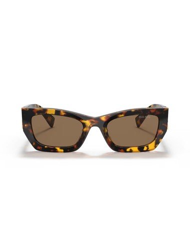 Sunglasses Miu Miu Women's Cat Eyes Havana Honey - Buy Here