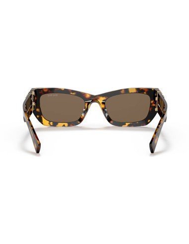 Sunglasses Miu Miu Women's Cat Eyes Havana Honey - Buy Here