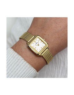 Cluse Gracieuse Mini CW15509: Elegância em promoção online 2
