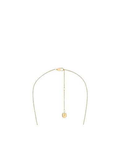 Comprar online o colar feminino Fossil Raquel Glitz com madrepérola