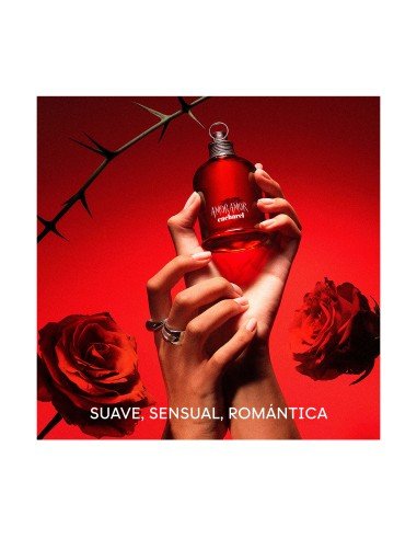 Amor Amor - Conjunto de Eau de Toilette: Oferta Exclusiva Online